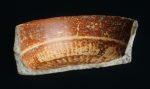 MSJ2A-5-6-8/motul:126 || Gabeta 9. Interior. Outcurved dish/bowl.