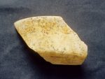Potsherd: possible Ik style vessel. Maya Motul de San Jose collection of whole and partial polychrome vessels of Late Classic period.