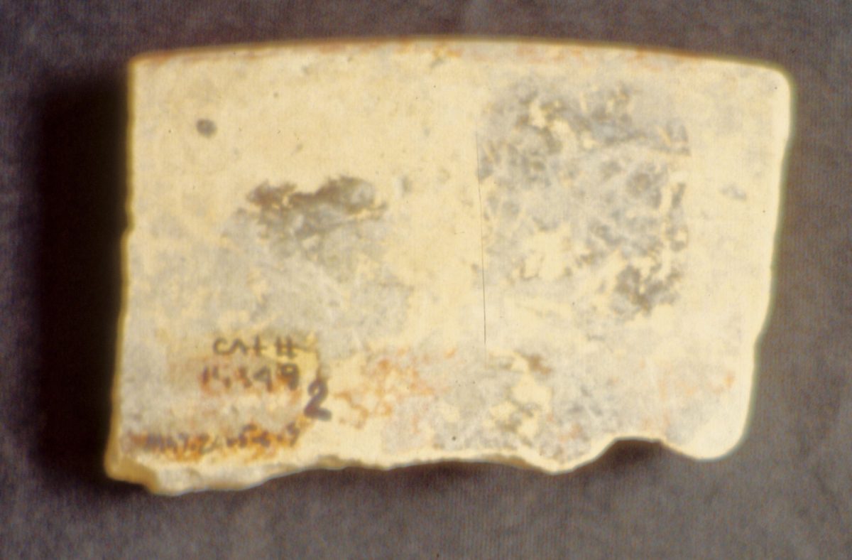 MSJ2A-5-6-9/motul:207 || Exterior. Tripod plate.