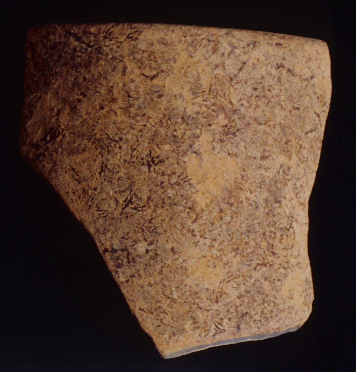 MSJ17D-17-1-2/motul:269 || Vase.