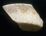 MSJ2A-5-6-15/motul:354 || Exterior. Outcurved dish/bowl. Glyphs.