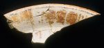 MSJ2A-5-6-18/motul:359 || Tripod plate. Glyphs.