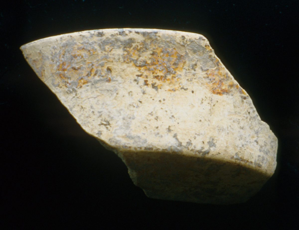 MSJ2A-5-6-15/motul:360 || Outcurved dish/bowl. Glyphs.