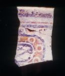 MSJ2A-5-6-14/motul:84 || Vase or bowl. Shield motif.